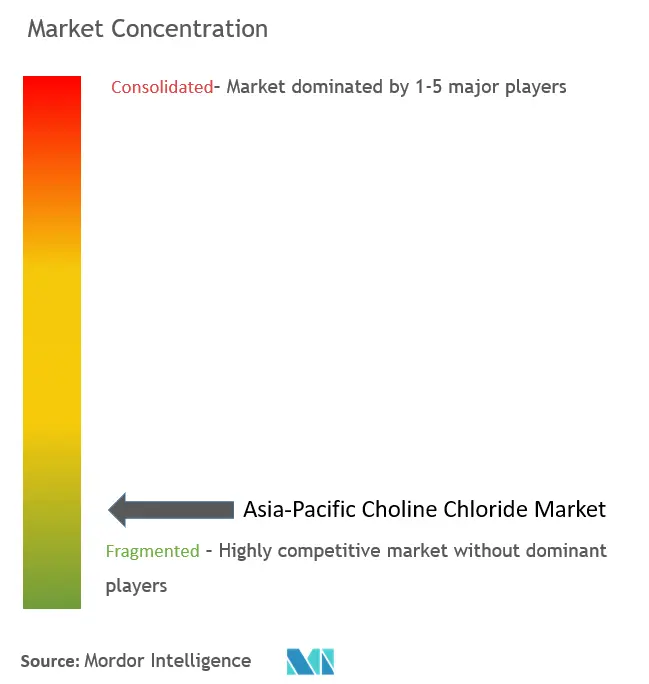 Asia-Pacific Choline Chloride Market Concentration