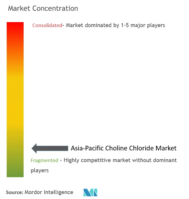 亚太地区氯化胆碱市场集中度