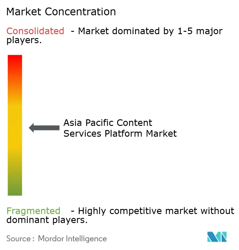 IBM Corporation, Microsoft Corporation, OpenText Corporation, Oracle Corporation