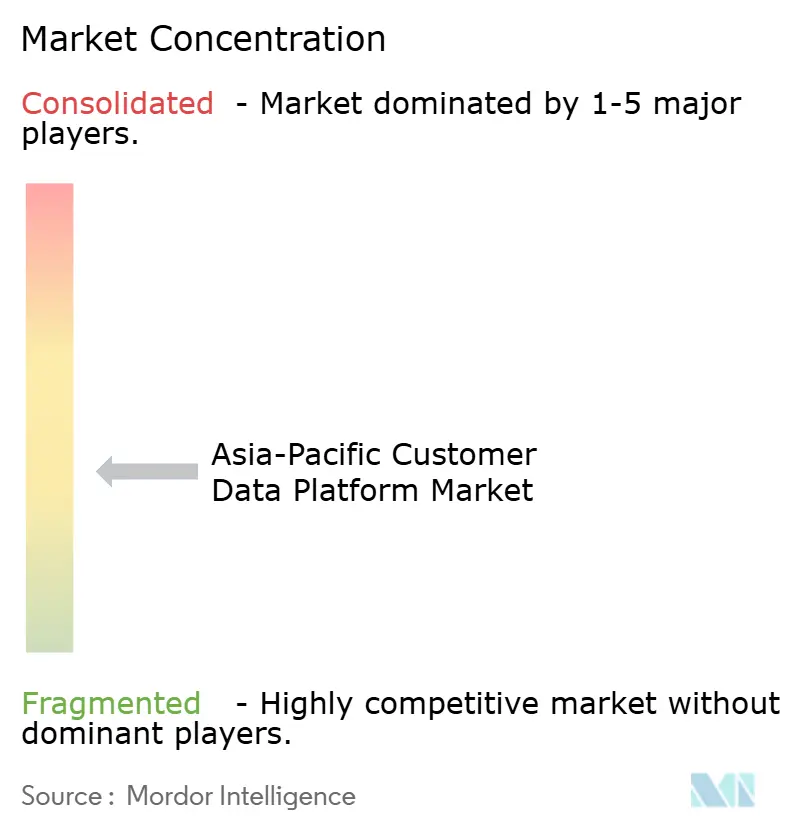 Asia-Pacific Customer Data Platform Market