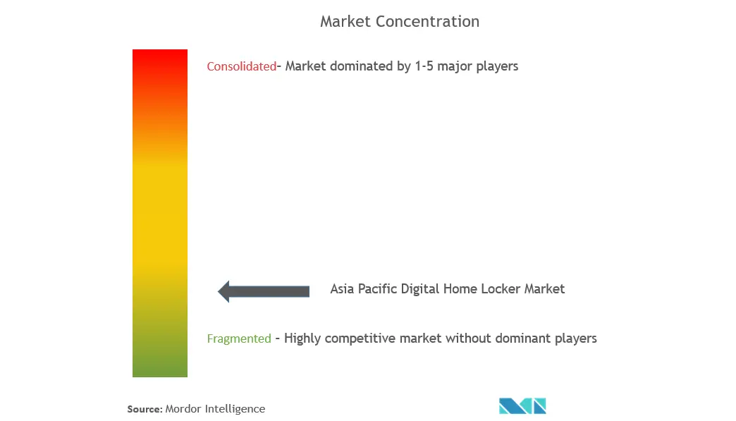 Asia-Pacific Digital Home Locker Market  Concentration