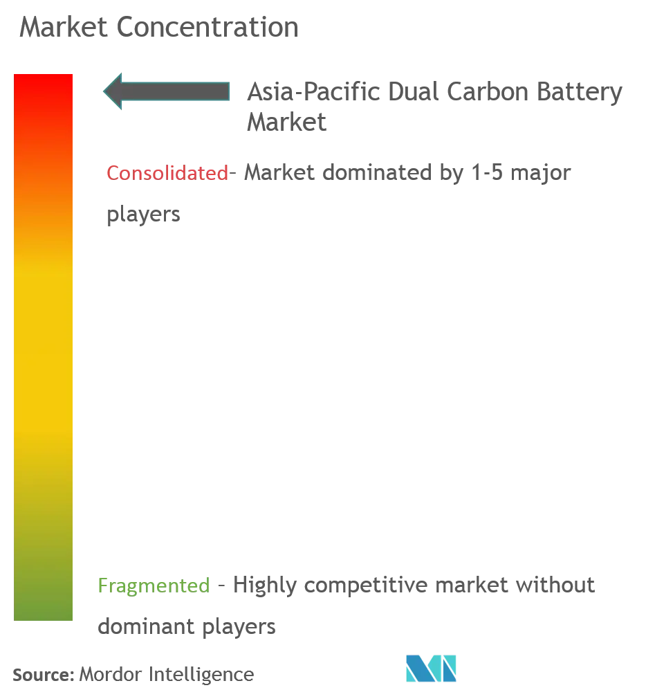 Asia-Pacific Dual Carbon Battery Market Concentration