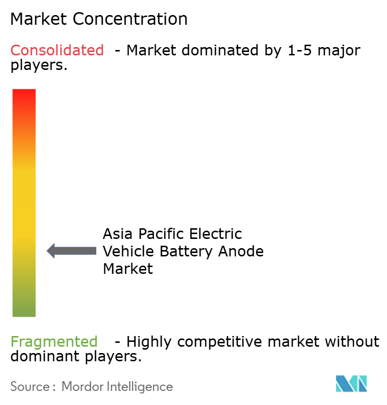 Asia Pacific Electric Vehicle Battery Anode Market Concentration