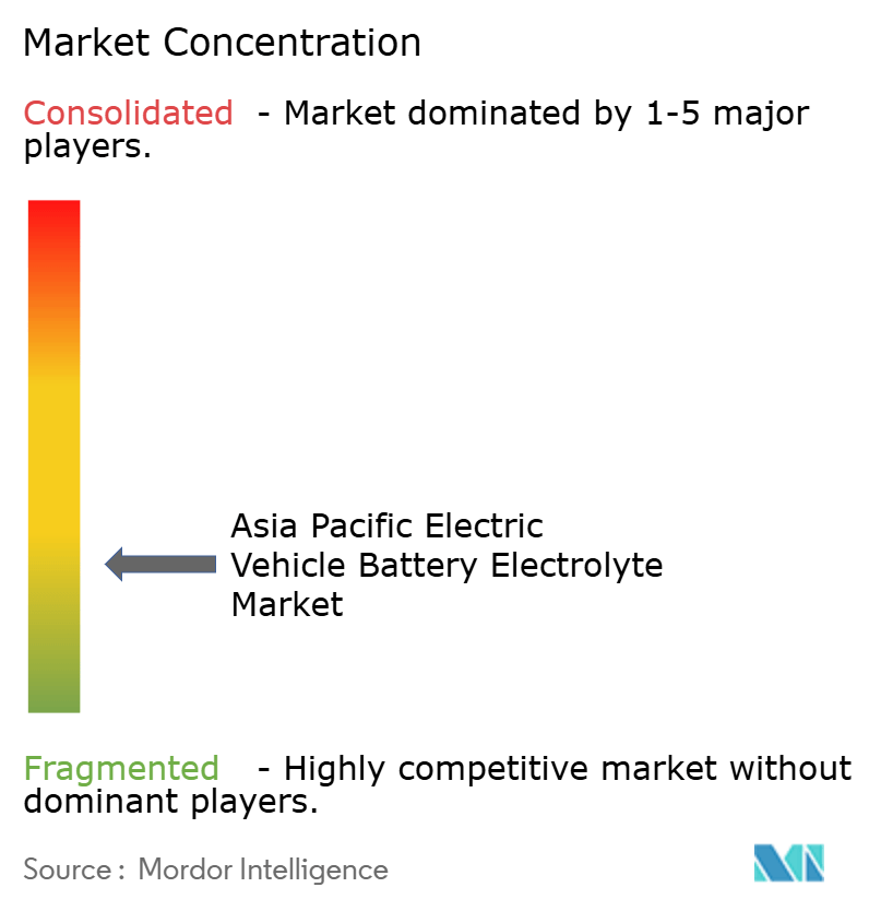 Asia Pacific Electric Vehicle Battery Electrolyte Market Concentration