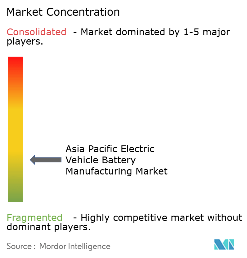 Asia Pacific Electric Vehicle Battery Manufacturing Market Concentration