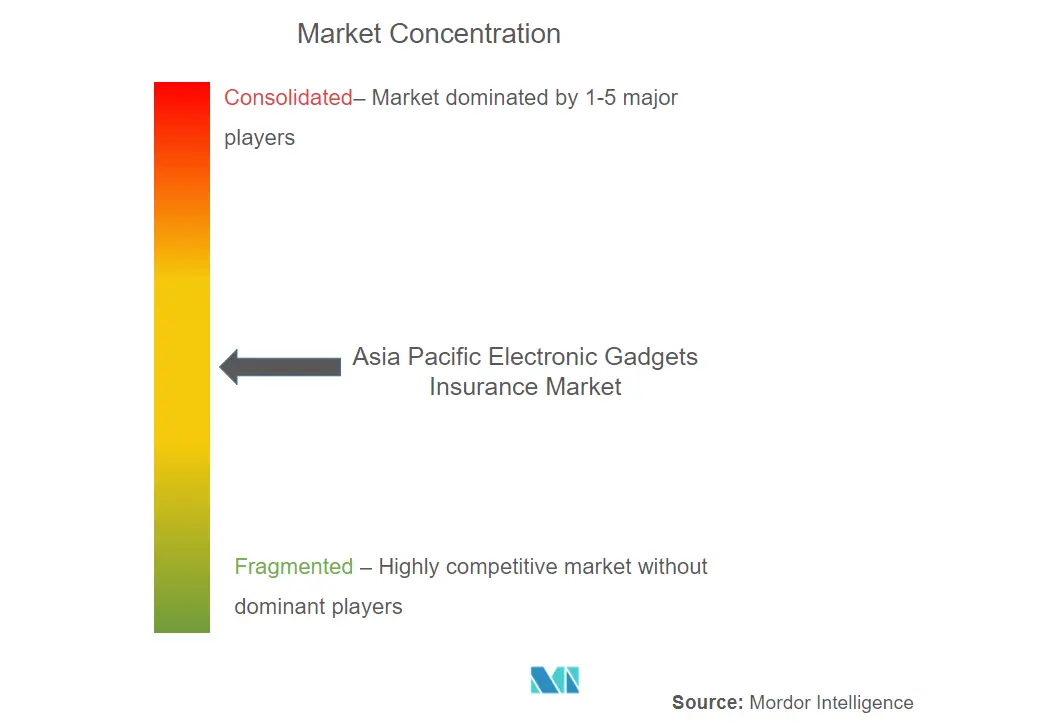 Asia-Pacific Electronic Gadgets Insurance Market Concentration