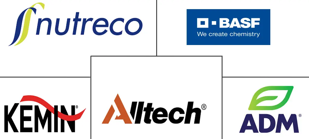 Major players in Asia-Pacific Feed Anti-Caking Agent industry