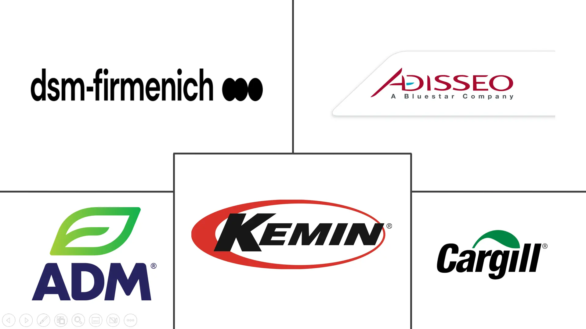 Major players in Asia-Pacific Feed Flavors and Sweeteners industry
