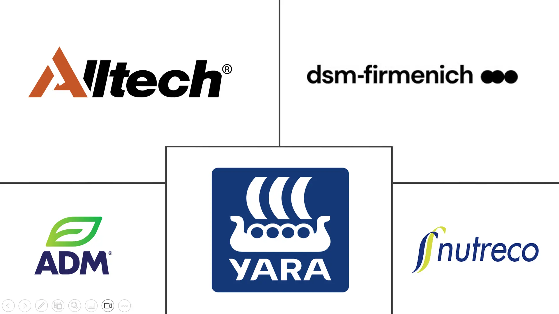 Major players in Asia-Pacific Feed Minerals industry