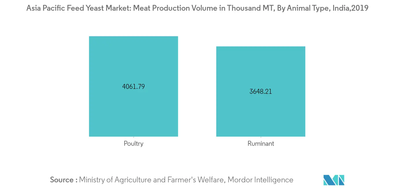 アジア太平洋地域の飼料用イースト市場、食肉生産量（百万MT）、インド、2019年