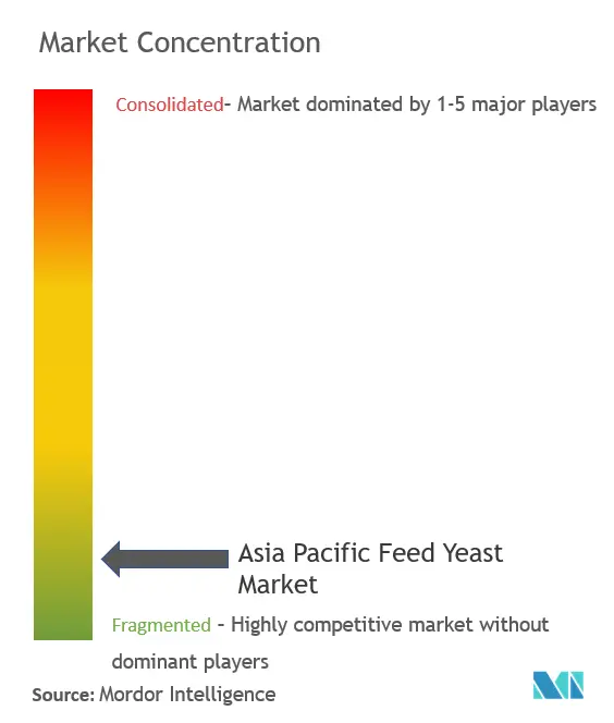 Levadura alimentaria de Asia PacíficoConcentración del Mercado