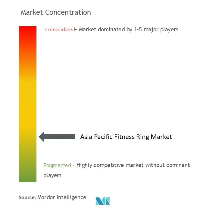 Asia Pacific Fitness Rings Market Concentration