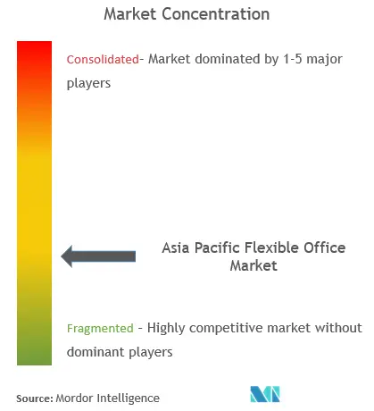 Flexibles Büro im asiatisch-pazifischen RaumMarktkonzentration