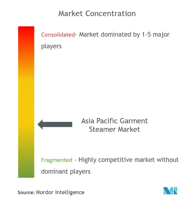 Asia Pacific Garment Steamers Market Concentration