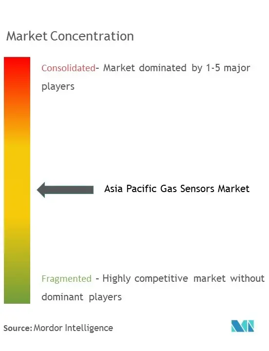 Detector de gas de Asia PacíficoConcentración del Mercado