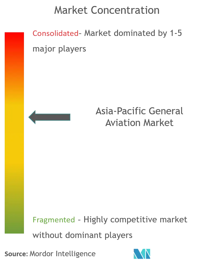 asia-pacific general aviation market concentration.png