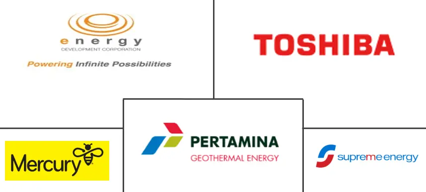 Major players in Asia-Pacific Geothermal Energy industry
