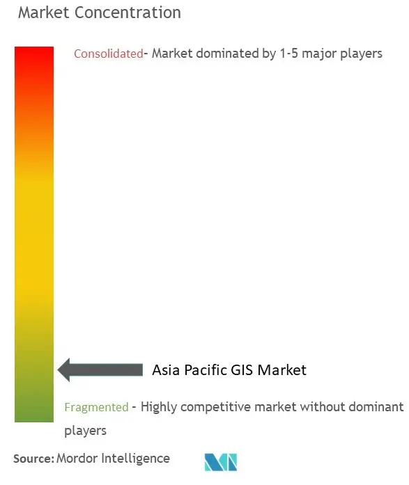 Asia Pacific GIS Market Concentration