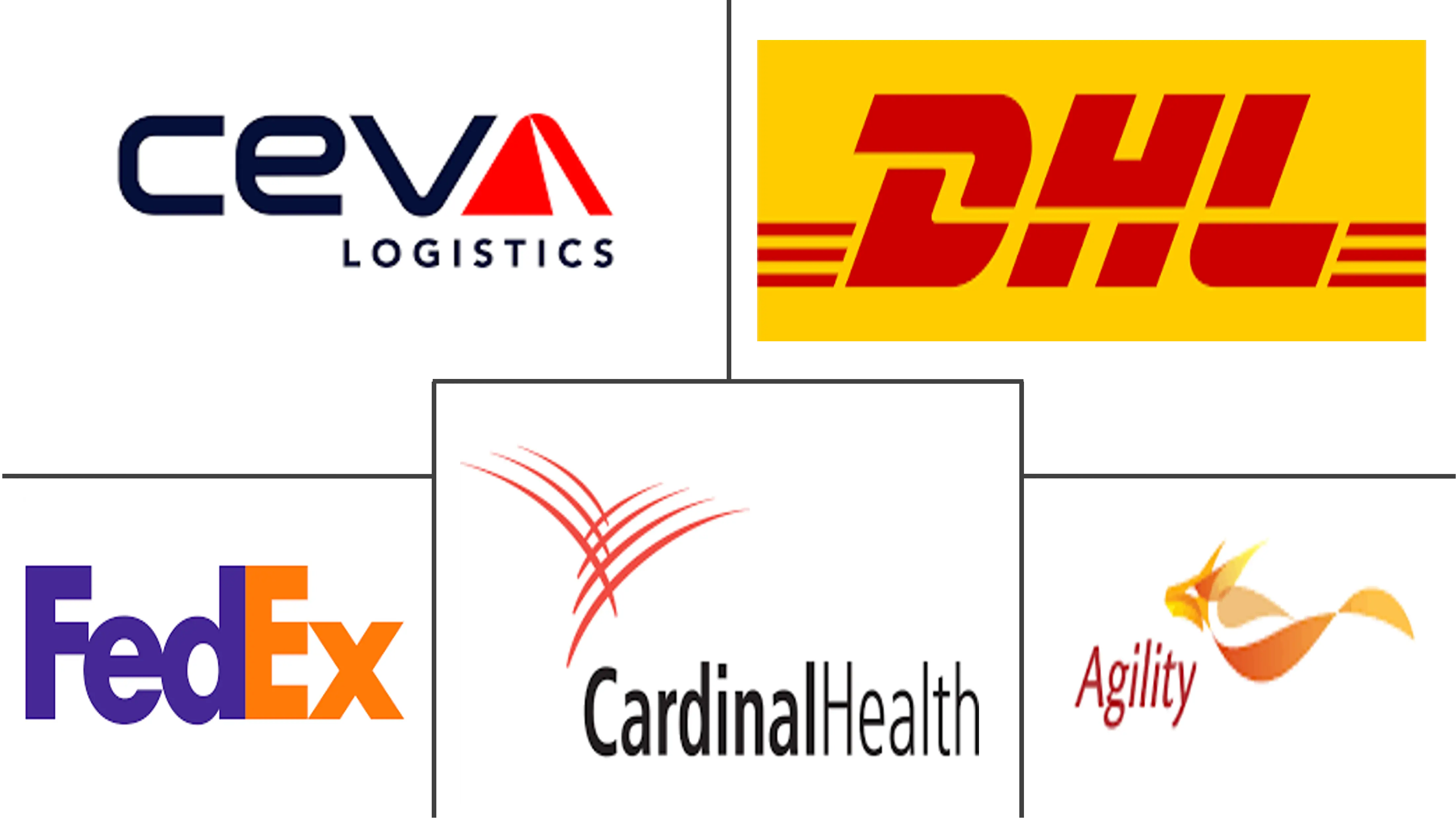 Asia-Pacific Healthcare Cold Chain Logistics Market Major Players