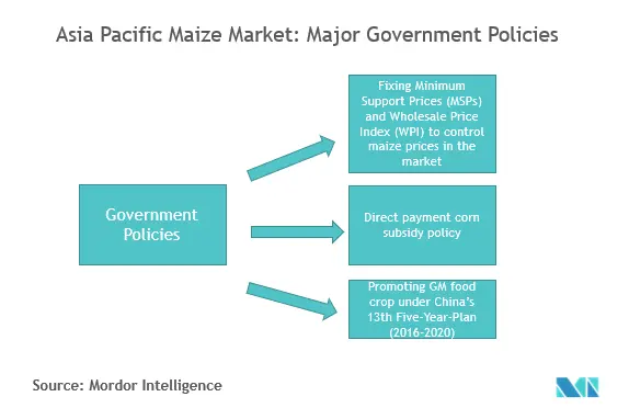 asia pacific maize market report