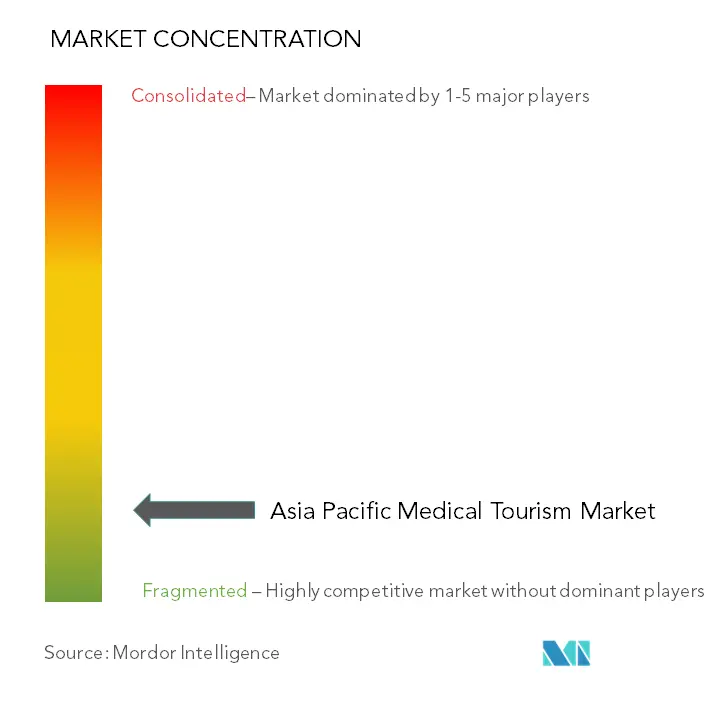Asia-Pacific Medical Tourism Market Concentration
