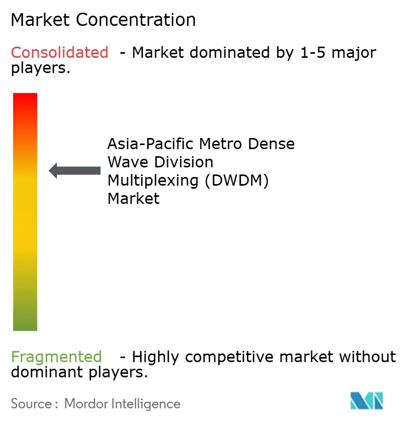 Asia-Pacific Metro Dense Wave Division Multiplexing (DWDM) Market Concentration