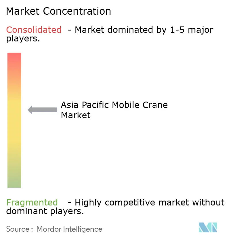 Asia-Pacific Mobile Crane Market Concentration Asia-Pacific Mobile Crane Market Concentration