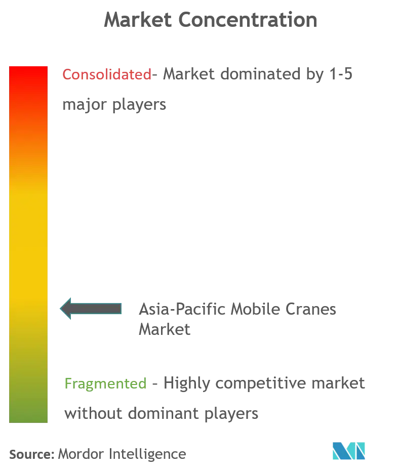 Asia-Pacific Mobile Cranes Market_Market Concentration.png