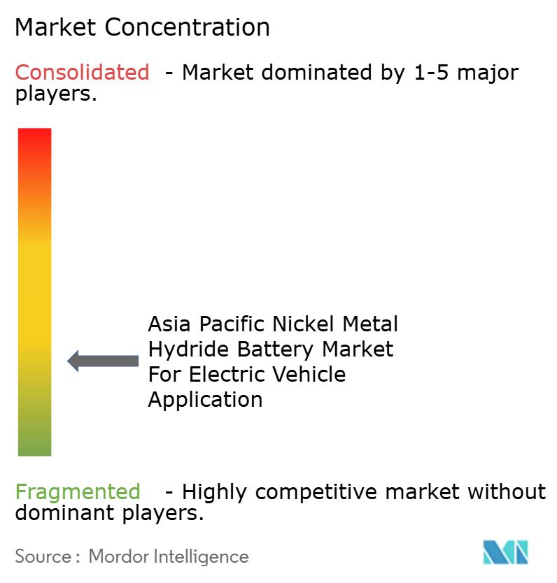 Asia Pacific Nickel Metal Hydride Battery Market Concentration