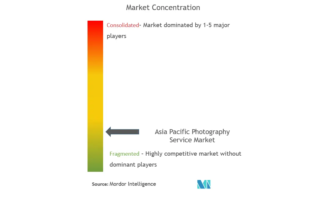 Asia Pacific Photography Service Market Concentration