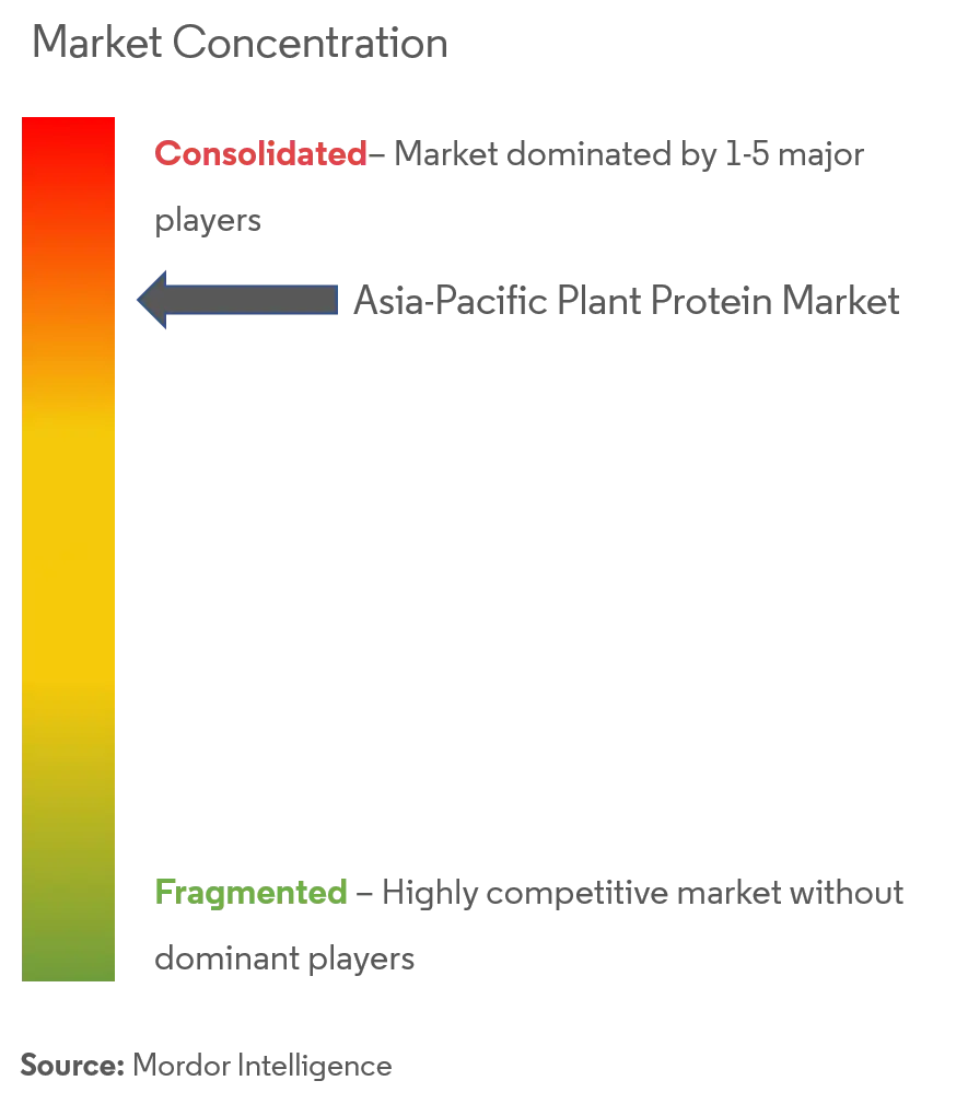 Asia-Pacific Plant Protein Market Concentration.png