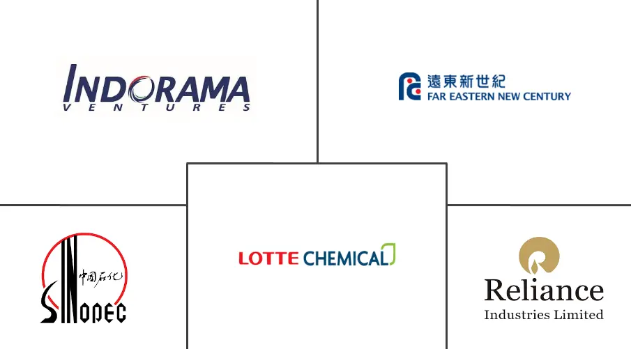 Asia-Pacific Polyethylene Terephthalate PET Market Top Companies