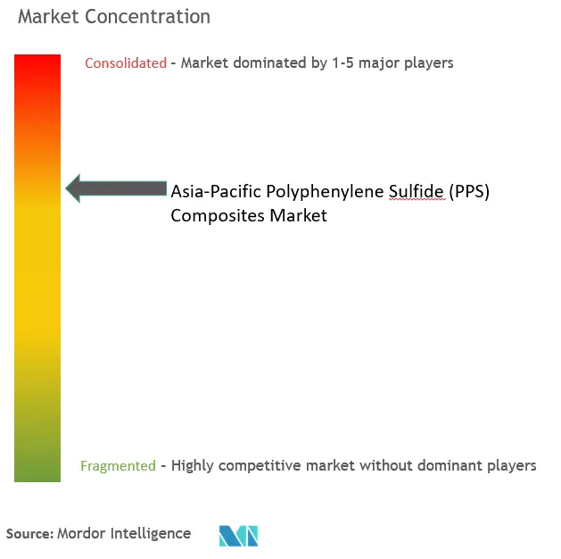 Asia Pacific Polyphenylene Sulfide (PPS) Composites Market Concentration