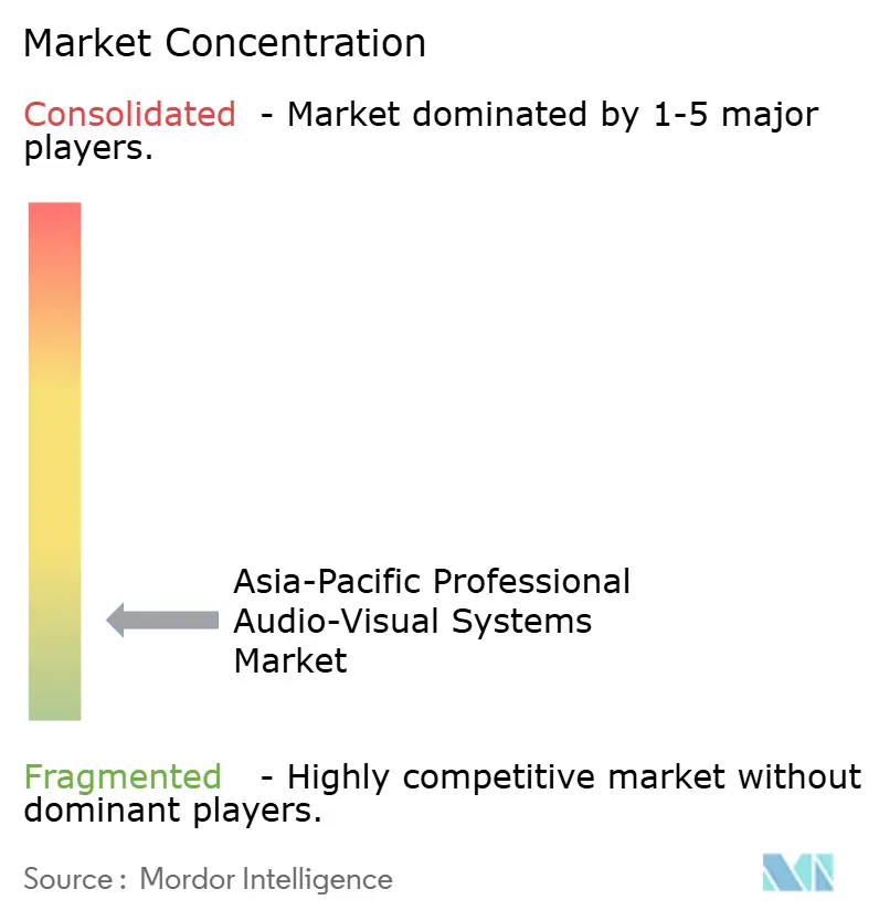 APAC Professional Audio-Visual Systems Market Concentration