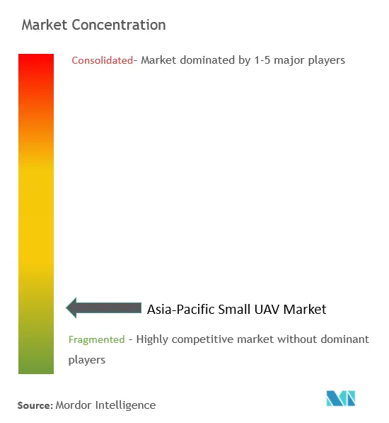 アジア太平洋地域の小型UAV市場の集中度