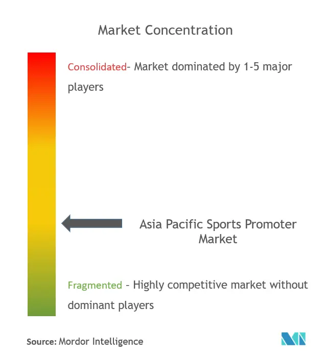 Asia Pacific Sports Promoter Market Concentration