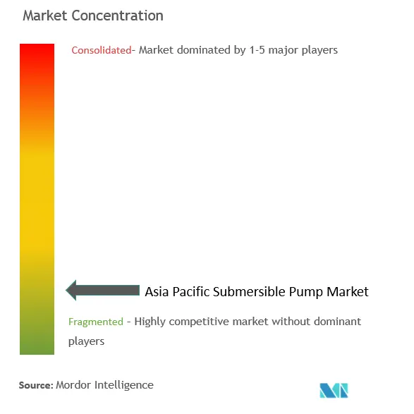 アジア太平洋地域の水中ポンプ市場集中度