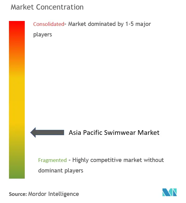 アジア太平洋地域の水着市場集中度