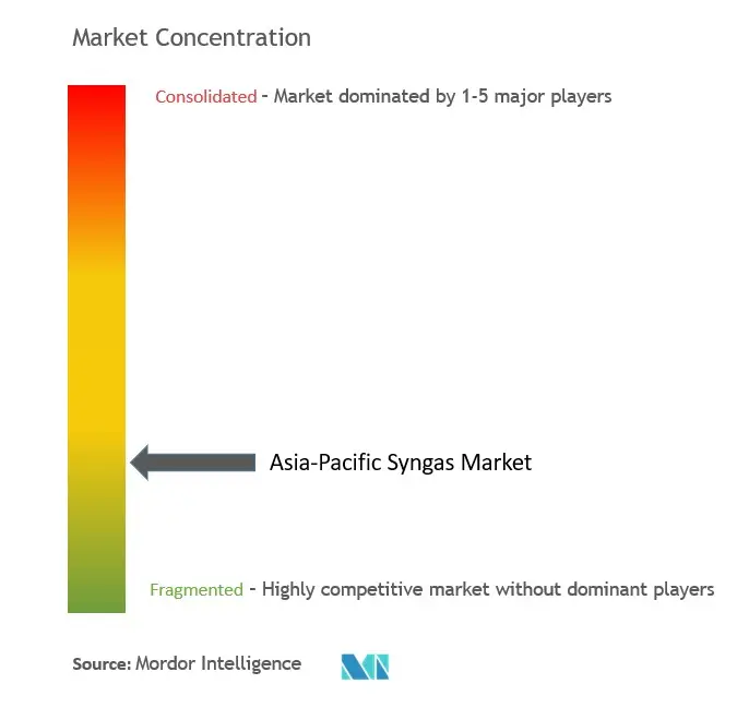 Asia-Pacific Syngas Market Concentration