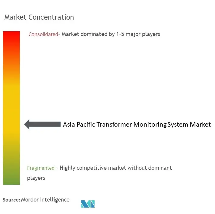 Asia Pacific Transformer Monitoring System Market Concentration