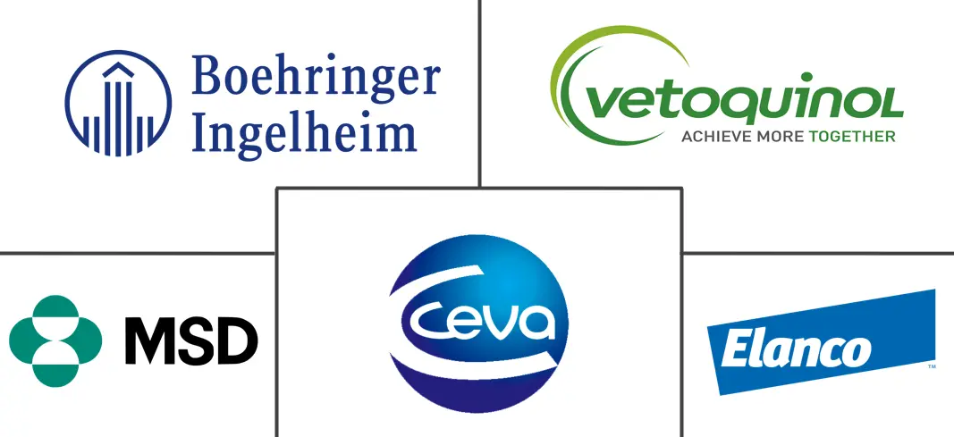 Major players in Asia-Pacific Veterinary Healthcare industry