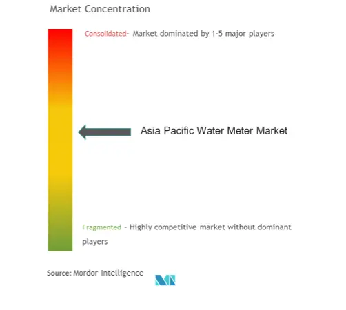 Asia Pacific Water Meter Market Concentration