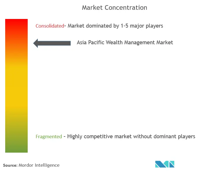 APAC Wealth Management Market Concentration