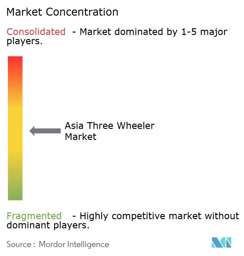 Asia Three Wheeler Market Concentration