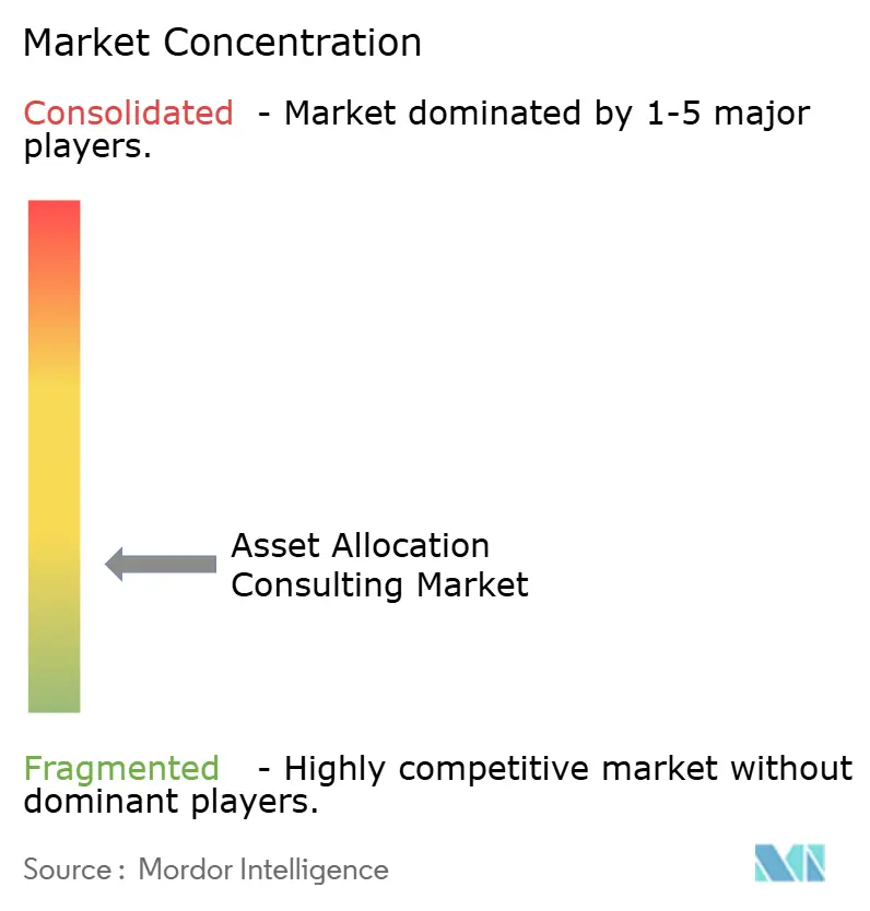 Asset Allocation Consulting Market Concentration
