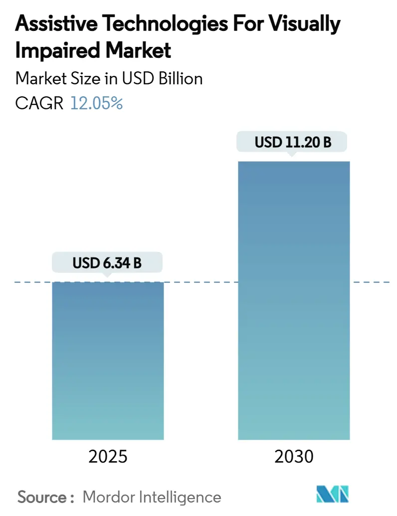 Assistive Technologies for Visually Impaired Market (2025 - 2030)