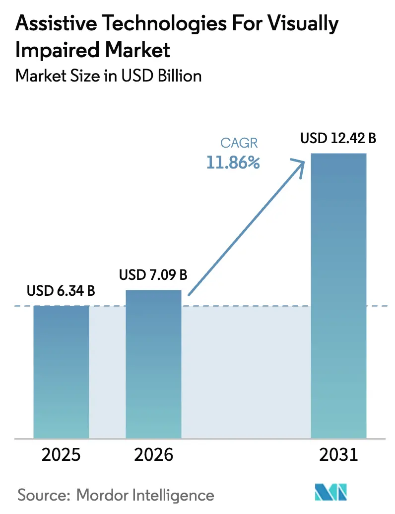 Assistive Technologies for Visually Impaired Market (2025 - 2030)