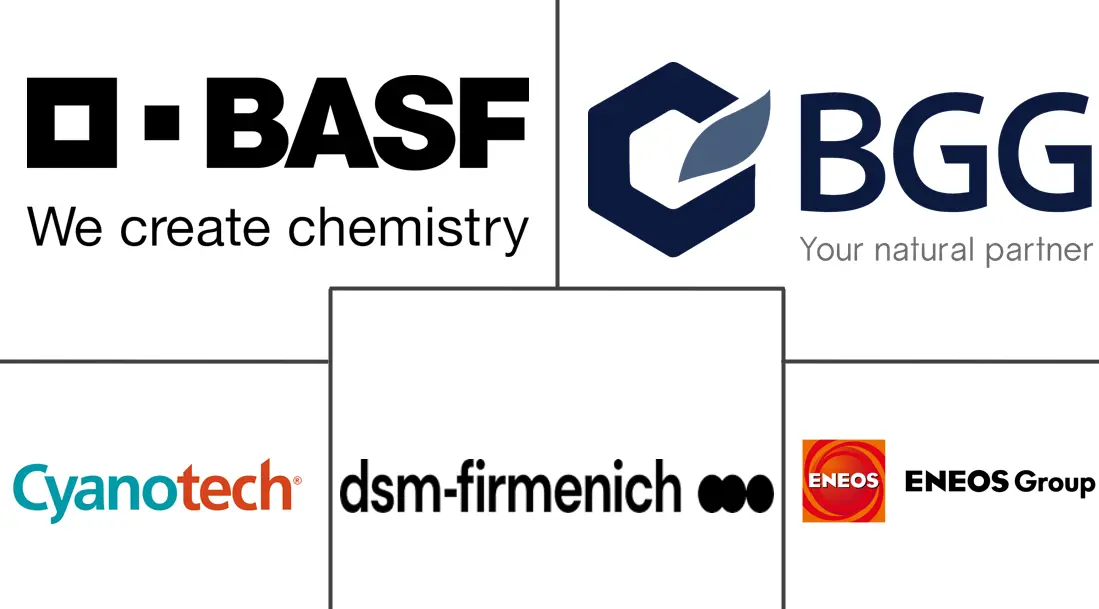 Major players in Astaxanthin industry