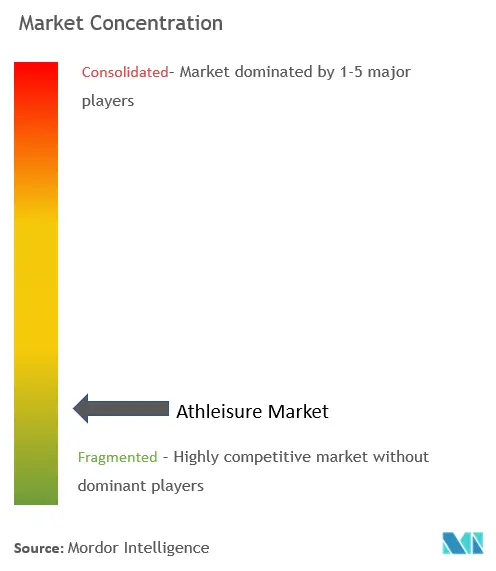 Athleisure Market Concentration