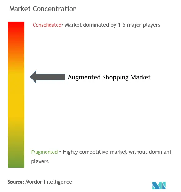 Augmented Shopping Market Concentration